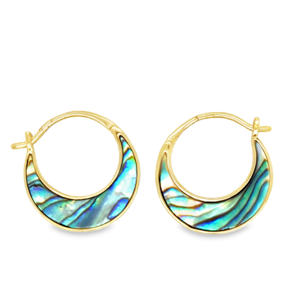 Precious Metal (No Stones) Earring