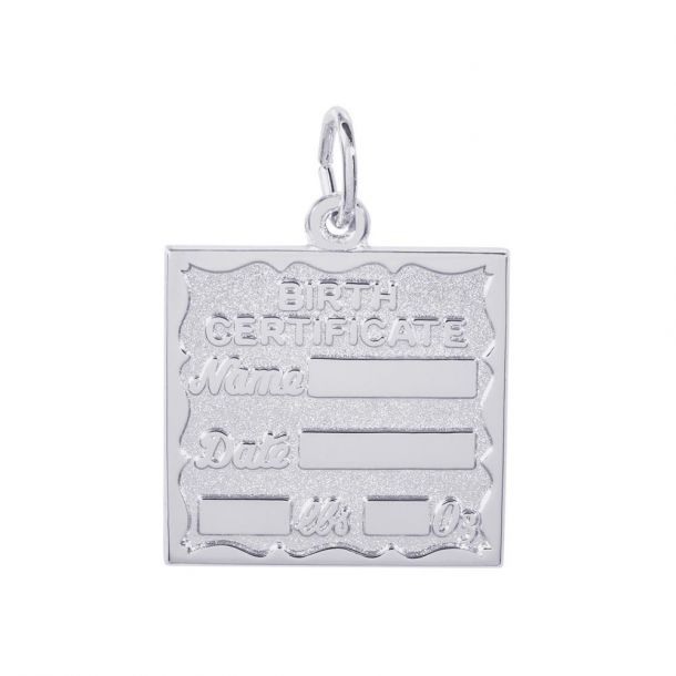 Silver Charms/Pendant