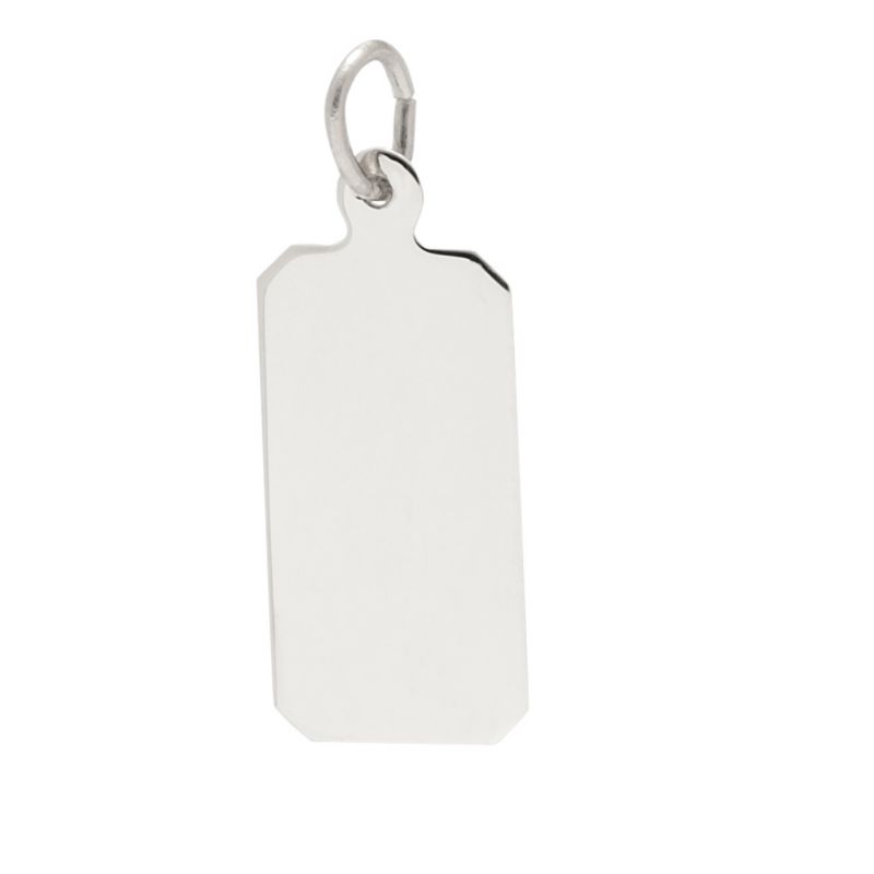 Silver Charms/Pendant
