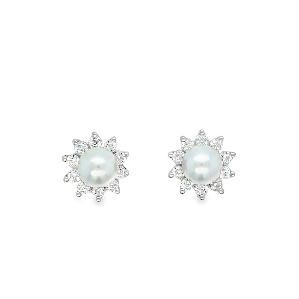 Silver Earring