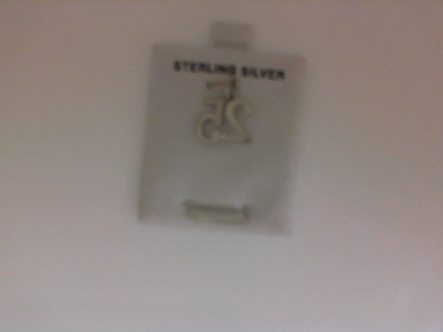 Silver Charms/Pendant