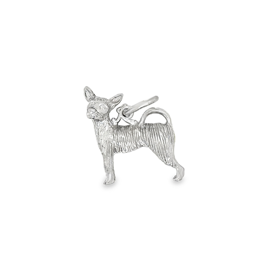 Silver Charms/Pendant
