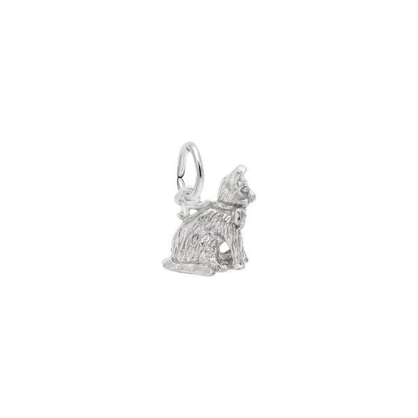 Silver Charms/Pendant