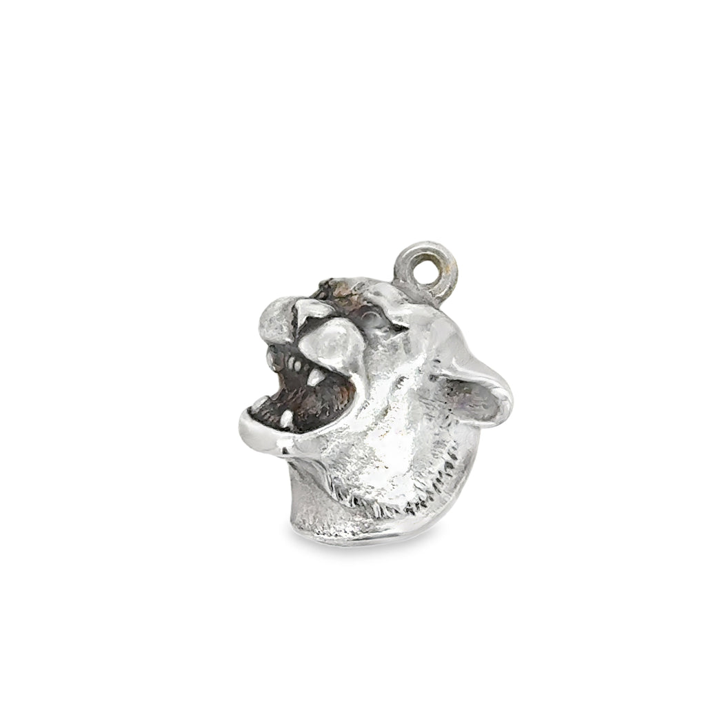 Silver Charms/Pendant