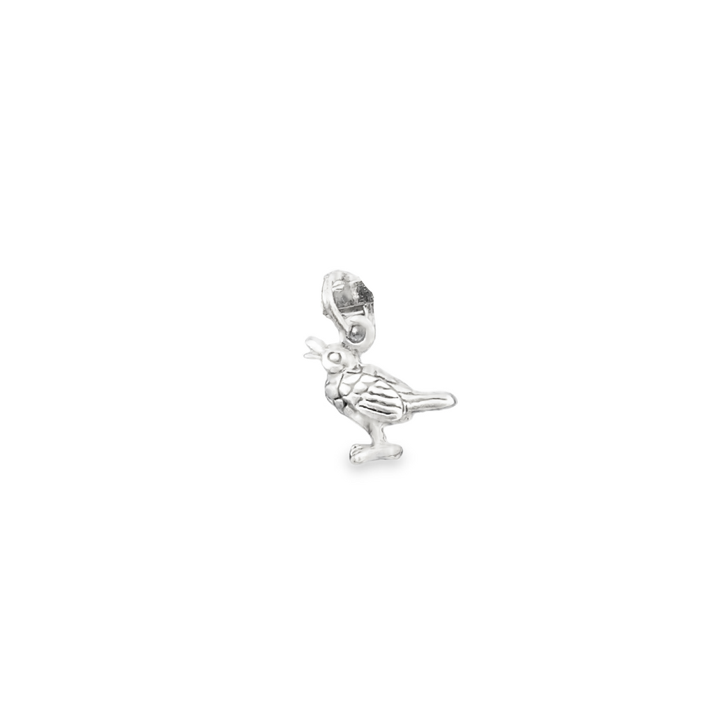 Silver Charms/Pendant