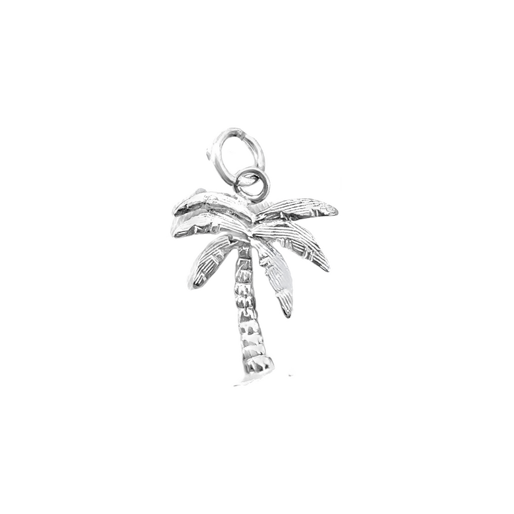 Silver Charms/Pendant