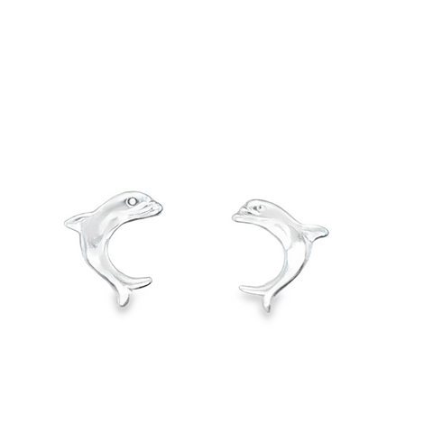Silver Earring