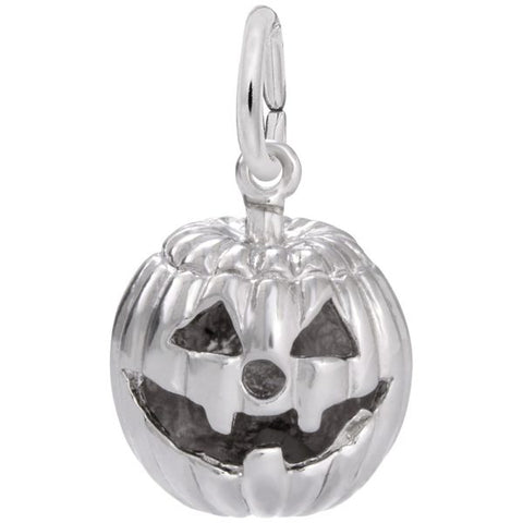 Silver Charms/Pendant