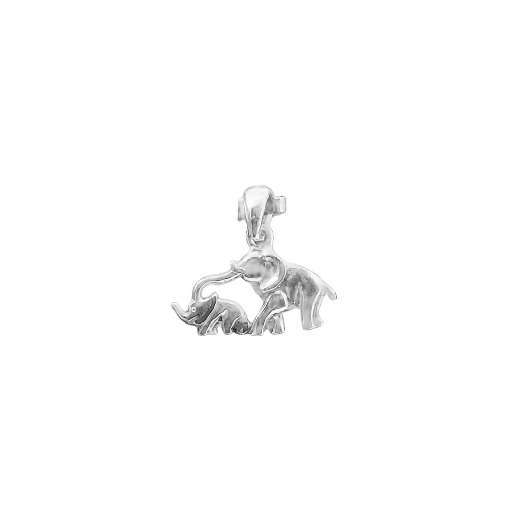 Silver Charms/Pendant