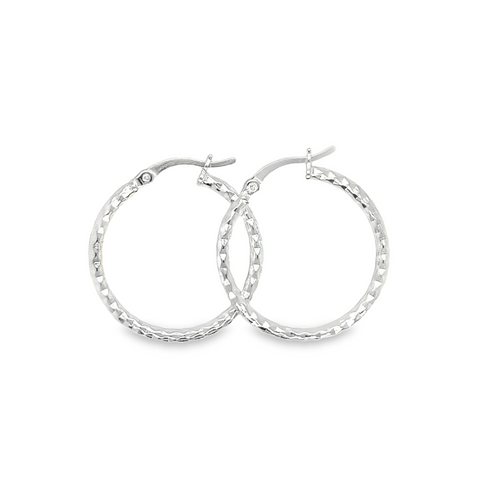 Silver Earring