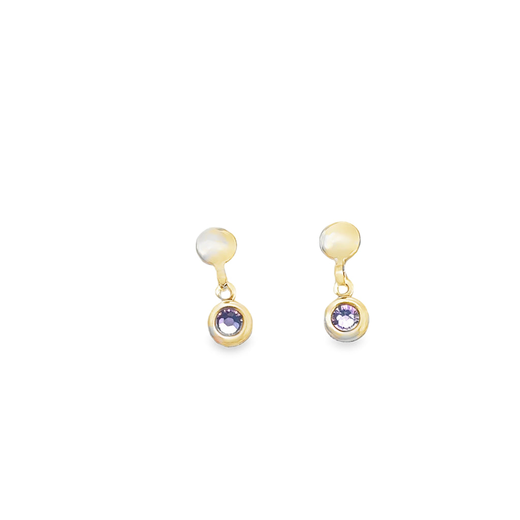 Colored Stone Earring
