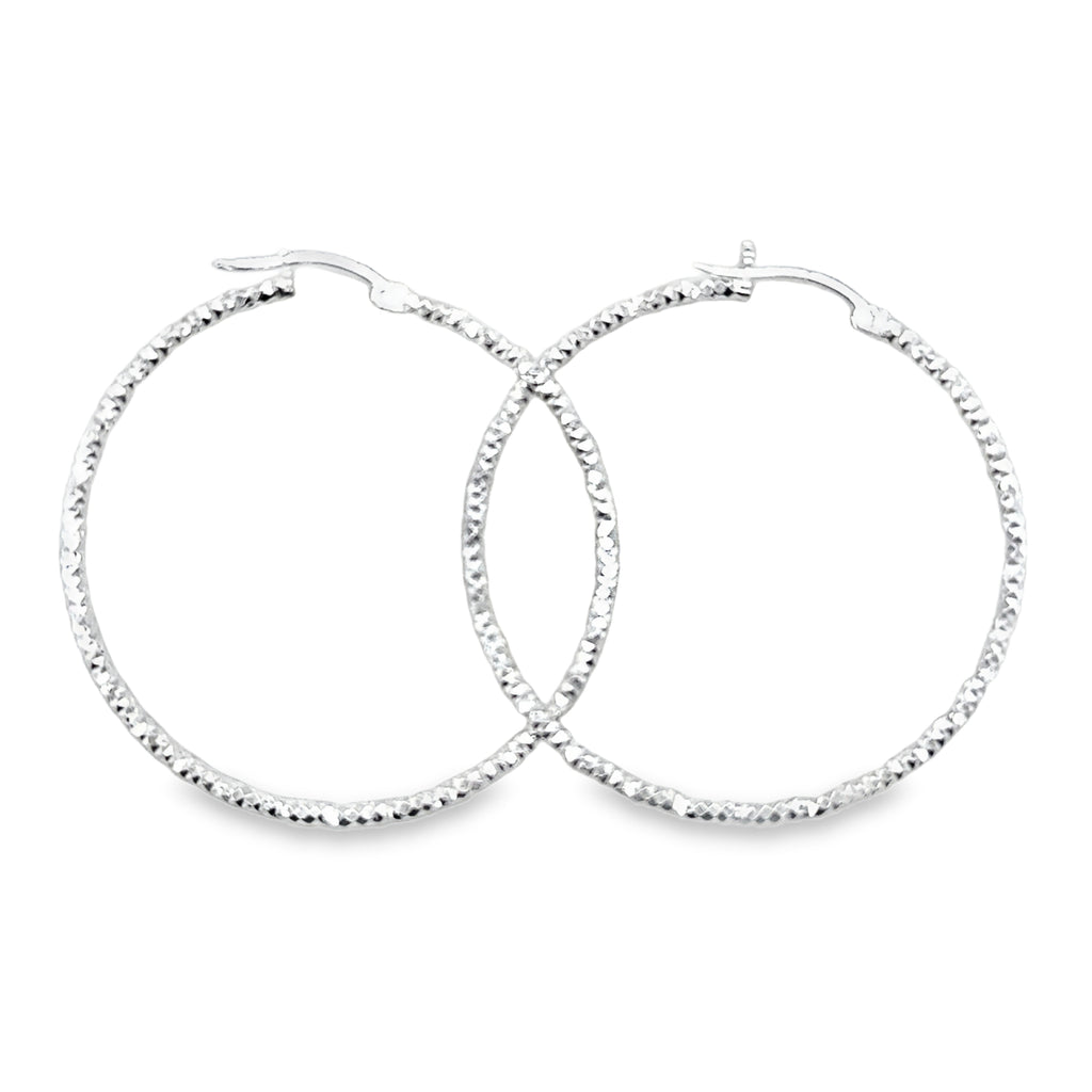 Silver Earring