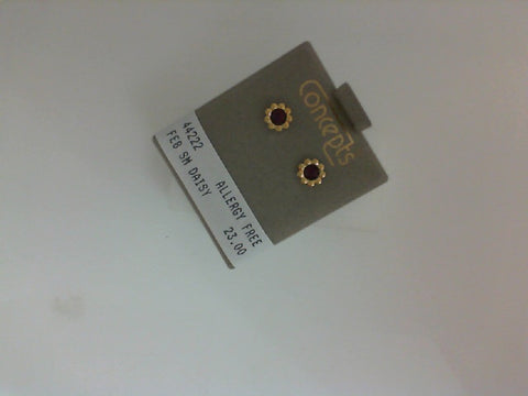 Silver Earring