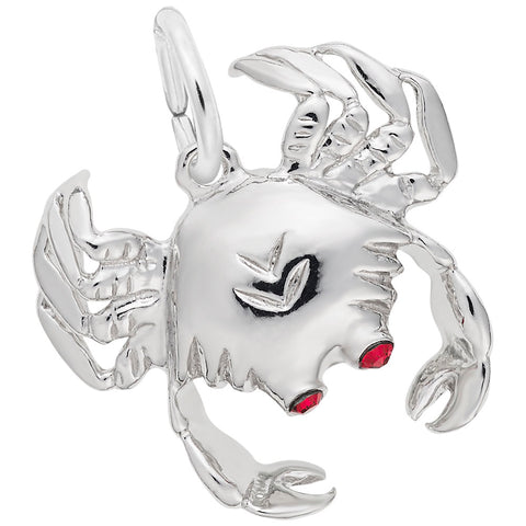 Silver Charms/Pendant
