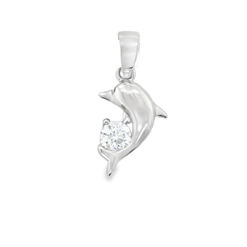Silver Charms/Pendant