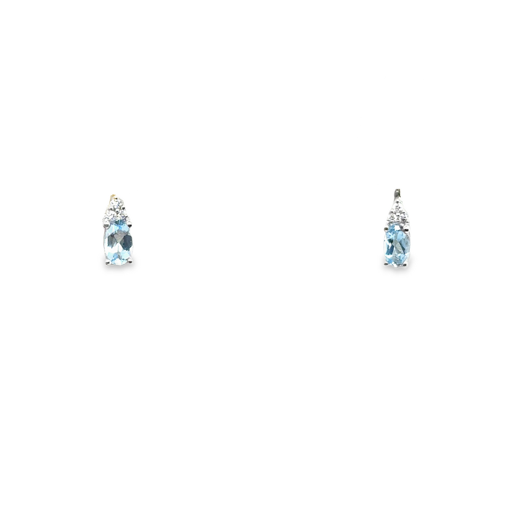 Colored Stone Earring