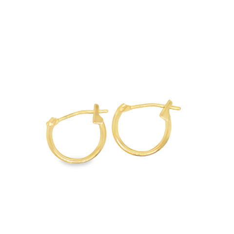 Precious Metal (No Stones) Earring