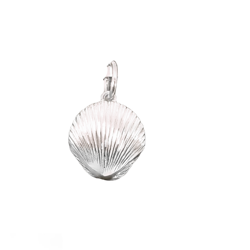 Silver Charms/Pendant
