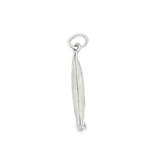 Silver Charms/Pendant