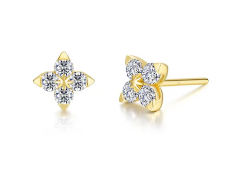 Silver Earring