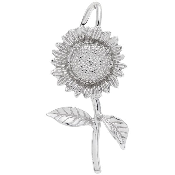 Silver Charms/Pendant