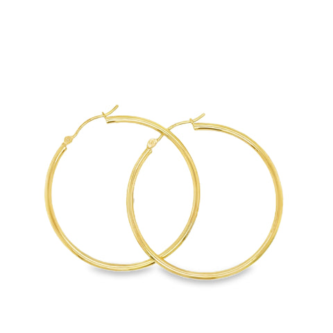 Precious Metal (No Stones) Earring