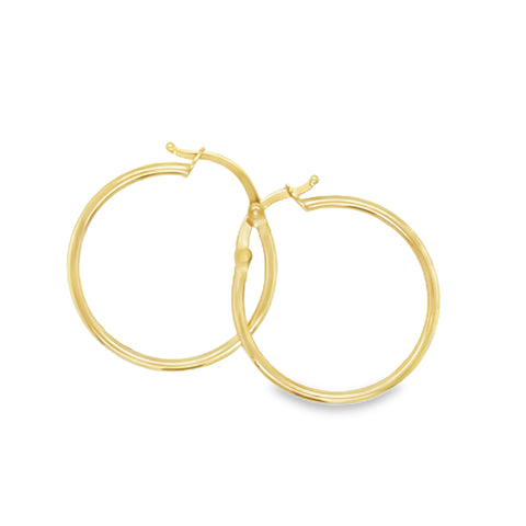 Precious Metal (No Stones) Earring