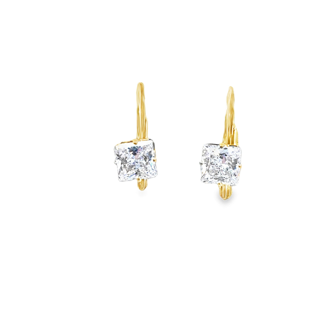 Silver Earring