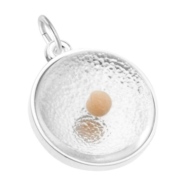 Silver Charms/Pendant