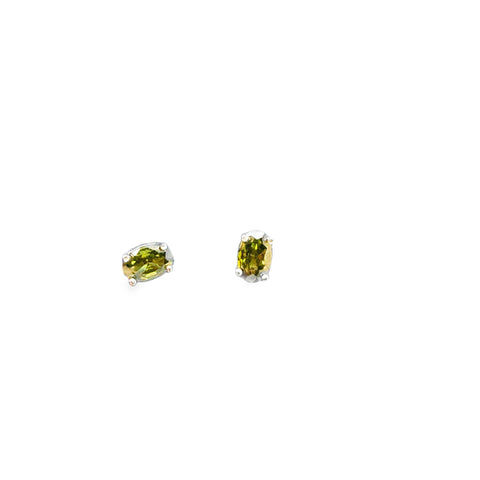 Silver Earring
