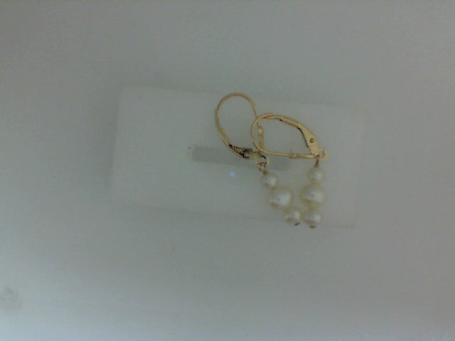 Precious Metal (No Stones) Earring
