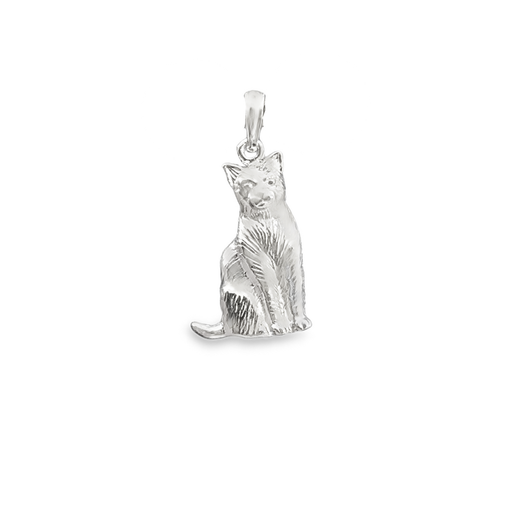 Silver Charms/Pendant
