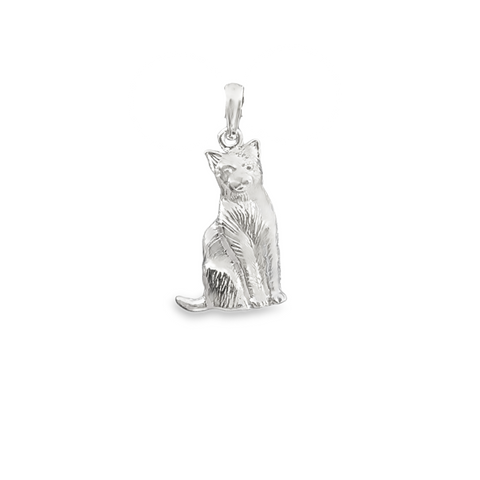 Silver Charms/Pendant