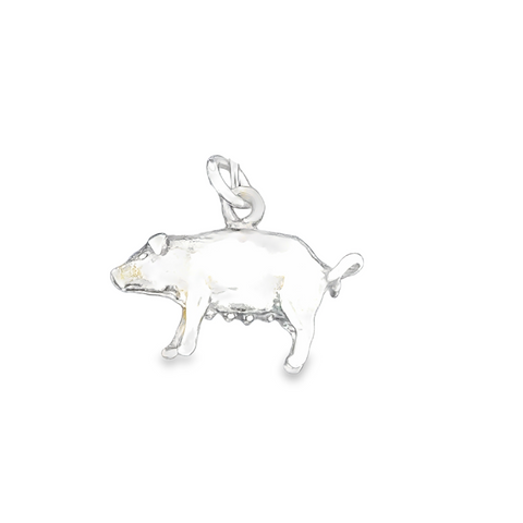 Silver Charms/Pendant