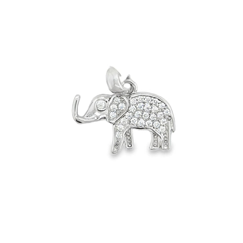 Silver Charms/Pendant