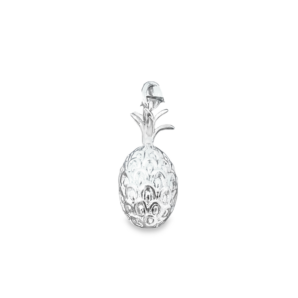 Silver Charms/Pendant