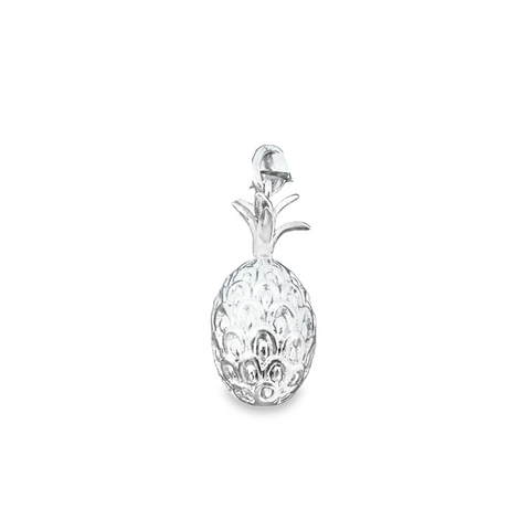 Silver Charms/Pendant