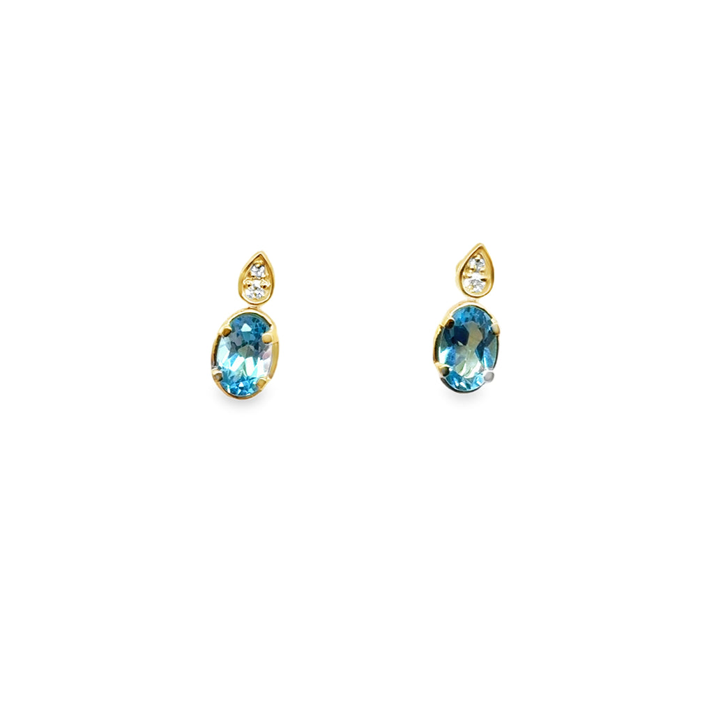 Colored Stone Earring