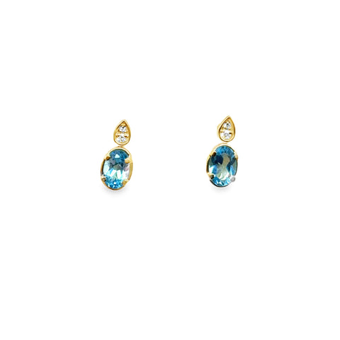 Colored Stone Earring