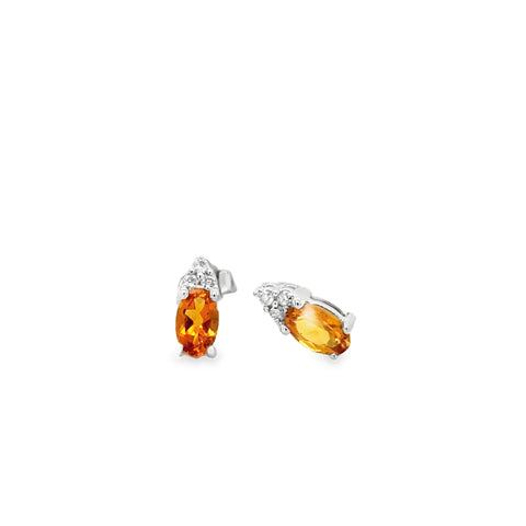 Precious Metal (No Stones) Earring