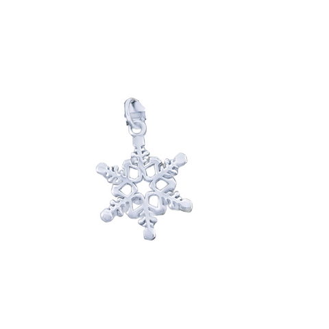 Silver Charms/Pendant