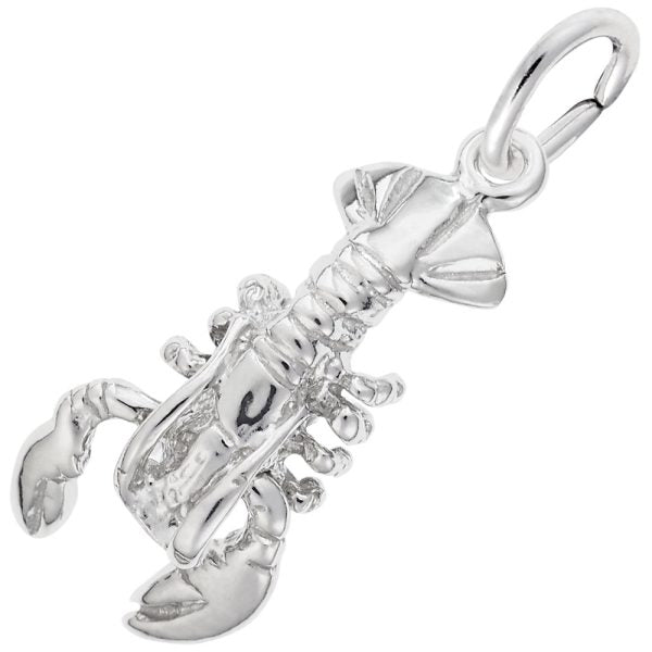 Silver Charms/Pendant