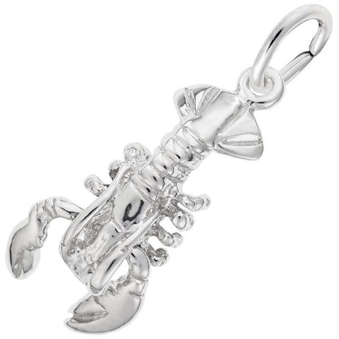 Silver Charms/Pendant