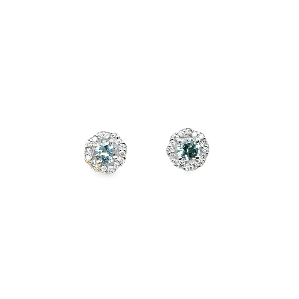 Colored Stone Earring