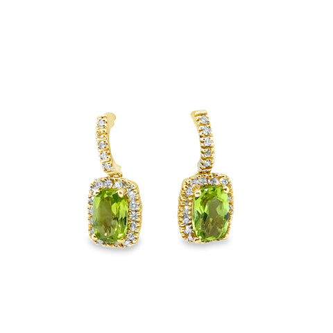 Colored Stone Earring