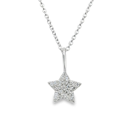 Silver Charms/Pendant