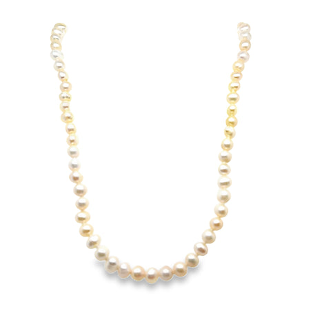 Pearl Necklace