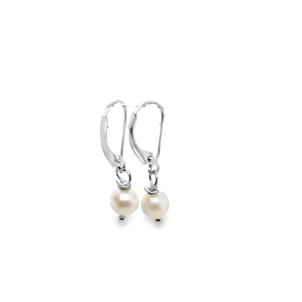 Silver Earring