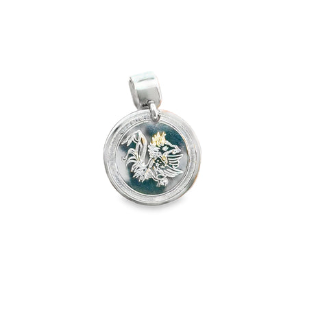 Silver Charms/Pendant