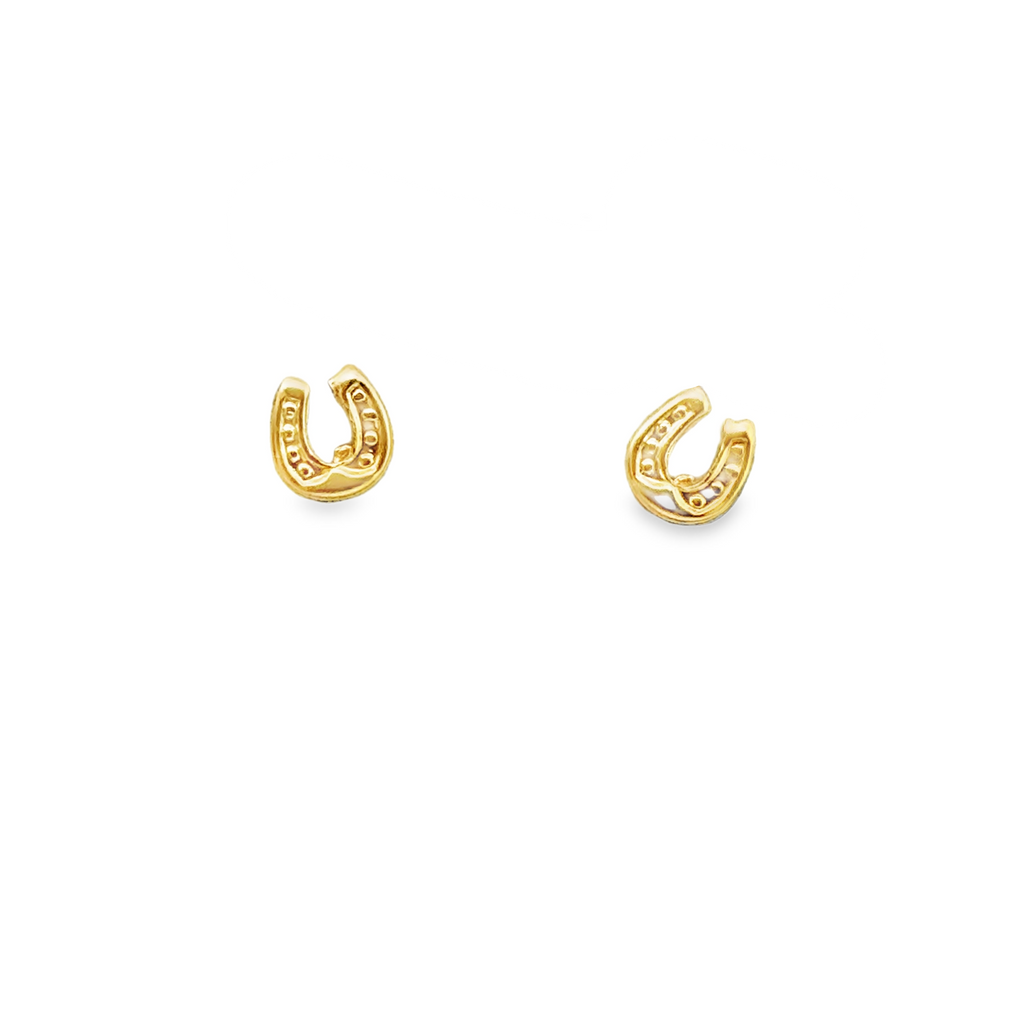 Precious Metal (No Stones) Earring